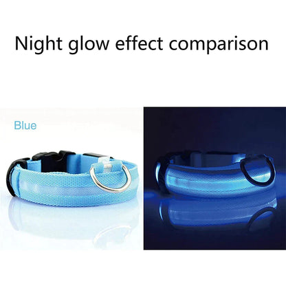 Pet collar that glows in the dark